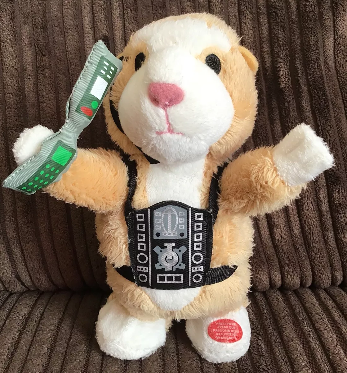 G hamster best sale