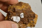 Foto 4 di 4