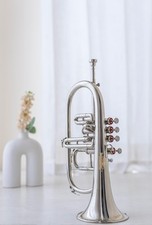 FlugelHorn silver Bb Flat 4 Valve With Hard Case Mouthpiece NICE SOUND FLUGEL HO