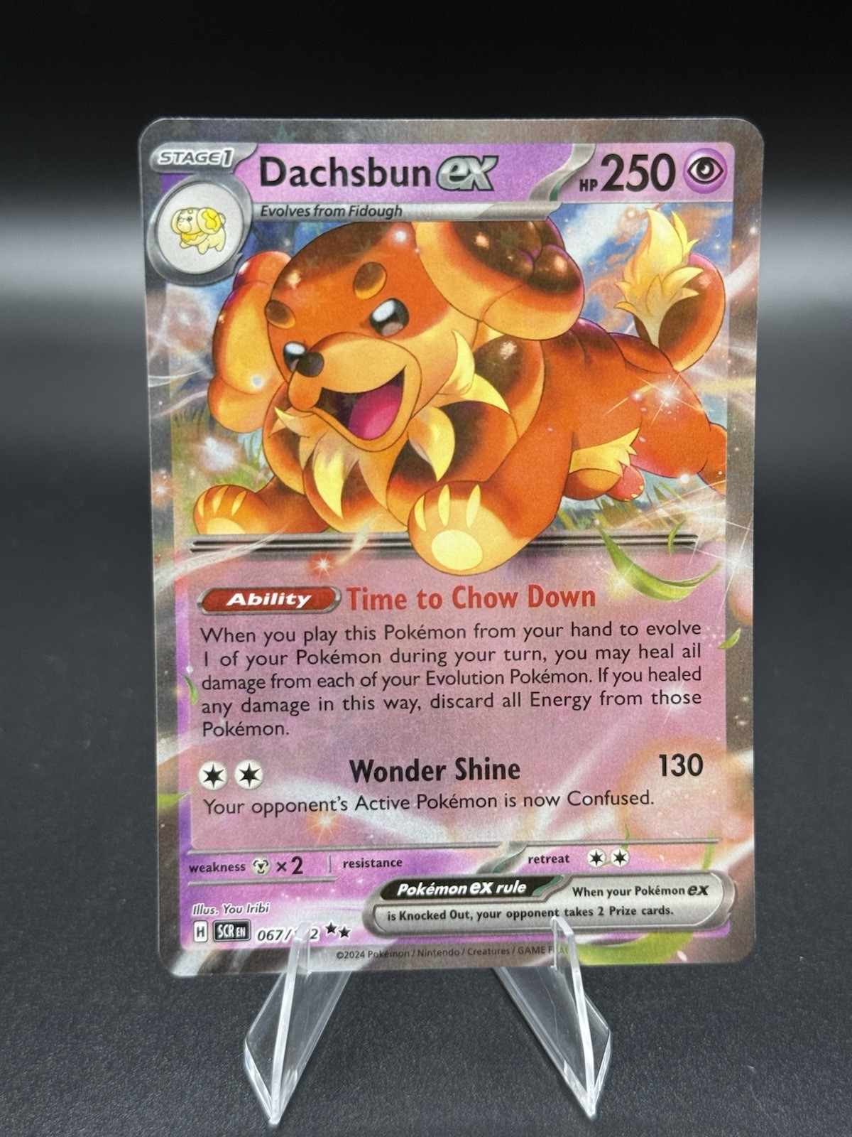 Dachsbun ex 067/142 Stellar Crown NM/Near Mint