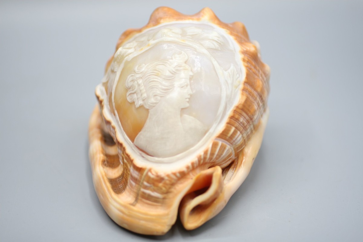 Vintage Italian Conch Shell with Detailed Hand Carved Cameo Z2 | eBay