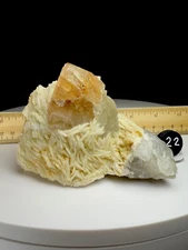 STUNNING! HUGE Golden Champagne Topaz Gemstone On Matrix • Pakistan