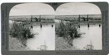 South Carolina ~ WORKMAN FLOODING RICE FIELDS ~ Stereoview 20010 vea104