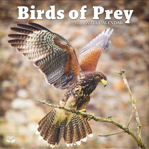 birds-of-prey-2024-wall-calendar-brand-new-13005-ebay