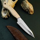 8.7" D2 Steel Hunting Knife Full Tang Fixed Blade Resin Handle + Sheath — photo 6