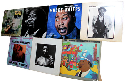 MUDDY WATERS Vinyl Record Lot of 7 LP Albums / Vintage /Media NM or M