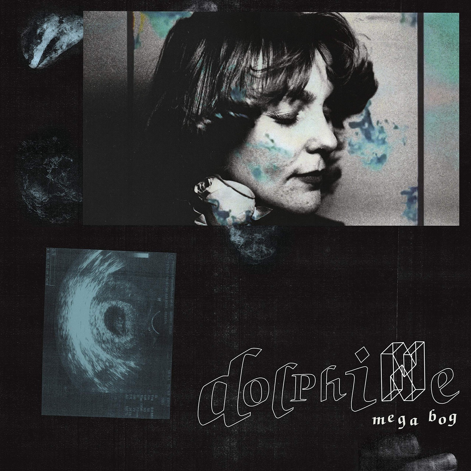 Mega Bog Dolphine CD POB049CD NEW