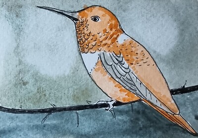 ACEO Atc.original Aquarellgemälde ''''Kolibri'''' Illustration Kunst 