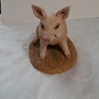 Foto 22 di 22