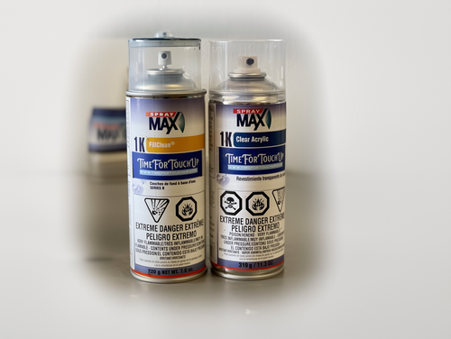 Aerosol Touch-Up Paint Kit For 2005 Volkswagen Phaeton - Picture 2 of 4