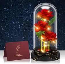 Preserved Flowers in Glass for Her, Beauty and the Beast Rose in Glass Dome, Lig