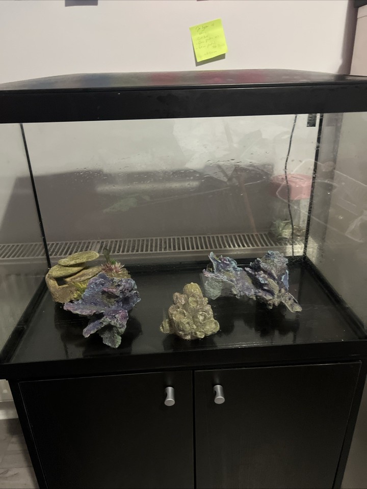 Fish Loader Machine Aquarium Fish Tank with Full Equipment | eBay Australia