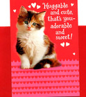 Happy Valentine's Day Fluffy Calico Kitten Kitty Cat Heart Hearts Hallmark Card