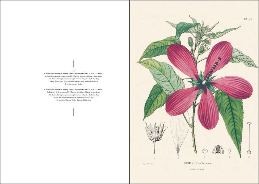 Thumbnail - Lack H Walter. Alexander Von Humboldt Und Die Botanische Erforschung