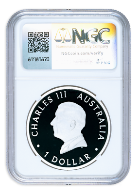 傑作】2024 パラオ 人魚のレントゲン銀貨【PCGS PR 70 DCAM】