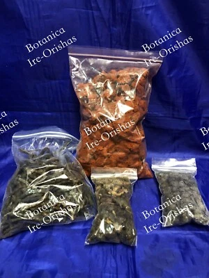 Ache ASHE de santo ERO OBI OSUM KOLA 1LBS religion yoruba ifa orula orunmila