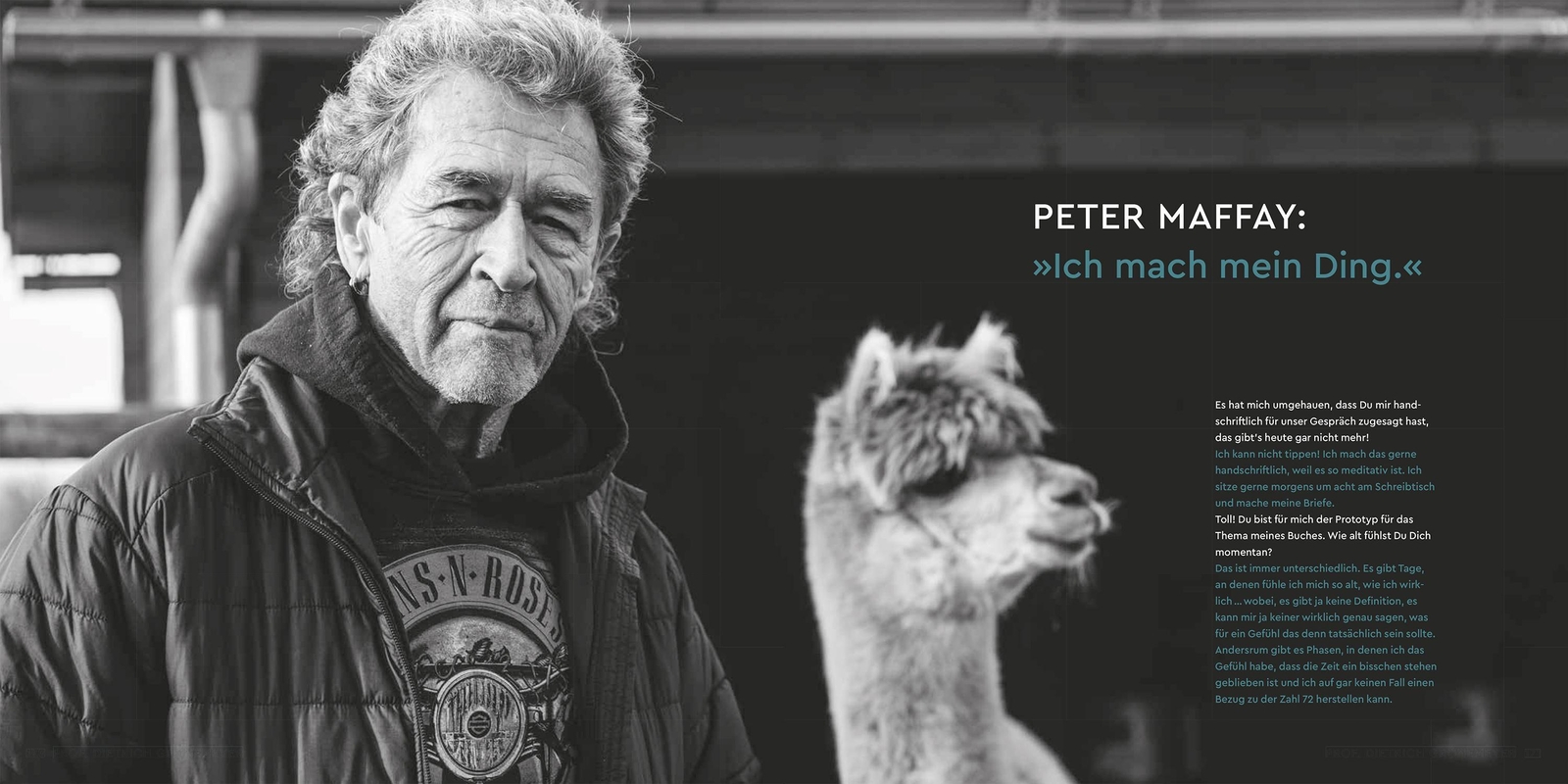 Thumbnail - Simone Rethel-heesters | Alterslos - Grenzenlos | Buch | Deutsch