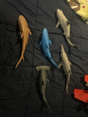 #ad Shark Toys Hammerhead amp; More Lot Of 5 $16.00