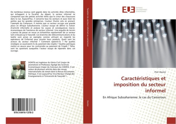 CaractéRistiques Et Imposition Du Secteur Informel Dontsi-image
