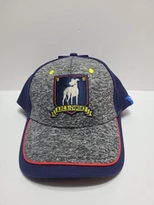 Ted Lasso AFC Richmond Heathered Gray Two-Tone Snapback OSFM Soccer Hat Cap NWT