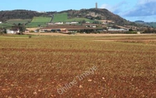 Photo 6x4 Field near Comber A field, just above sea level, close to the s c2010