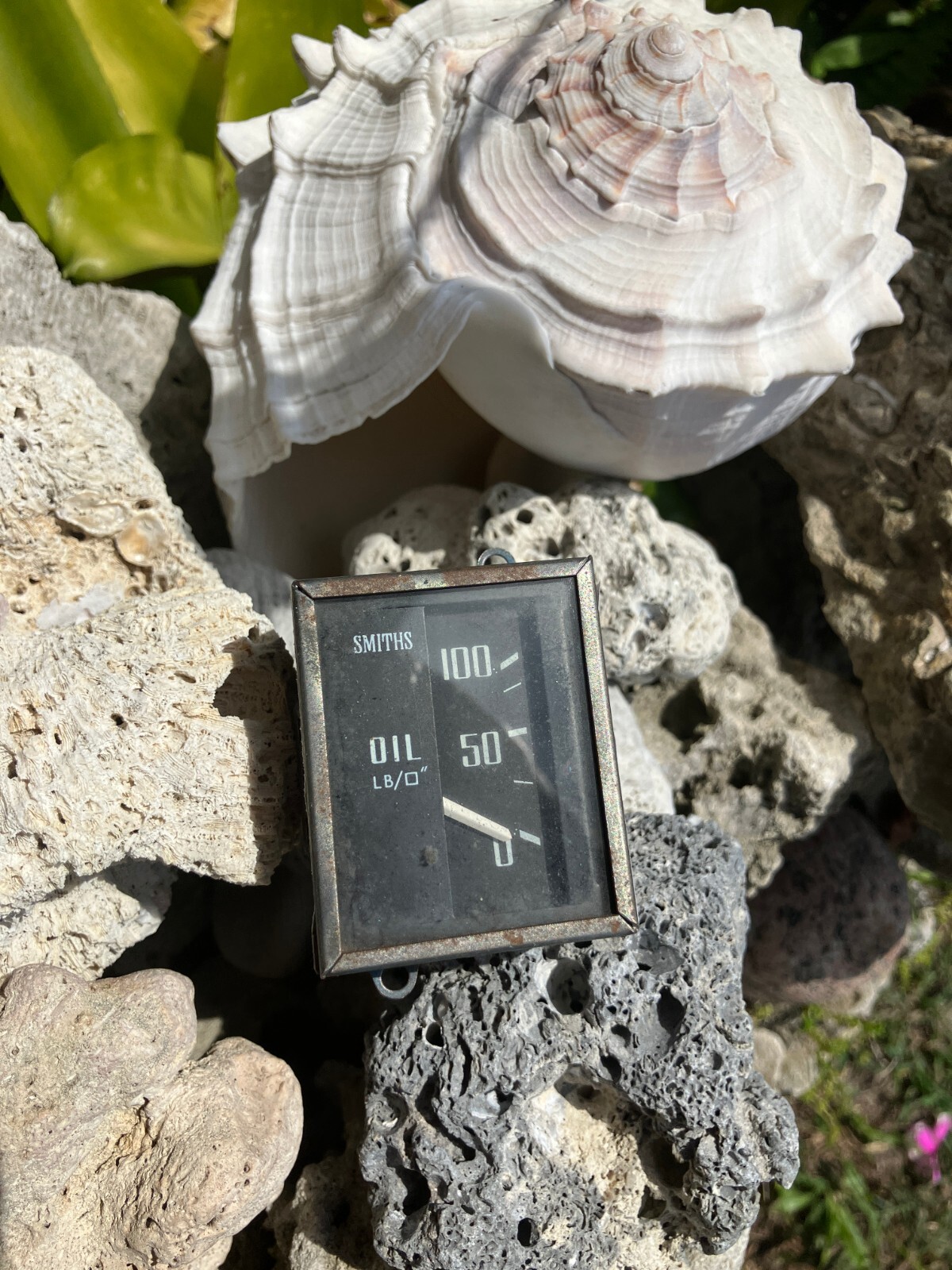 Foto 10 di 15