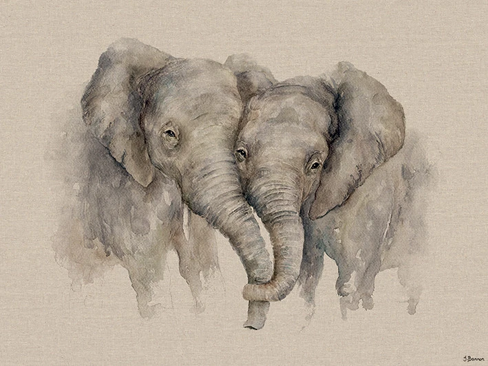 Jane Bannon - Soul Mates - Canvas Print Wall Art 3 sizes available - Elephants