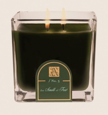 Aromatique The Smell of The Tree Scented 12 oz Cube Candle in Glass