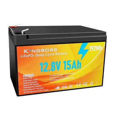 12V 15Ah LiFePO4 Lithium Battery, LiFePO4 Battery Built-in BMS 4000+ Deep Cyc...