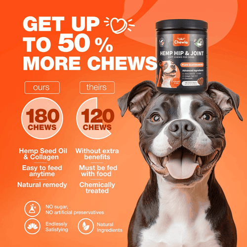 Glucosamine for Dogs Hip and Joint Supplement for Dogs Chondroitin Chews MSM - Bild 6 von 9