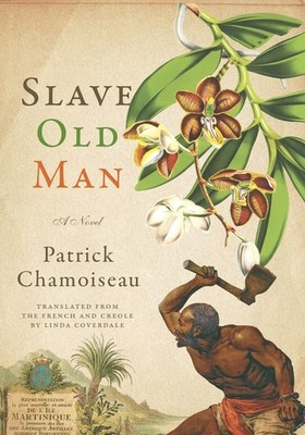Slave Old Man: A Novel