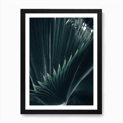 Palm Shade 1 Art Print Framed Wall Art Poster Canvas Print Picture