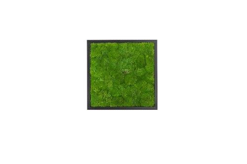 Wandbilder Wave Design Moosbild Wandbild Wand Moos Bilder Oster Dekoration - Bild 12 von 39