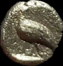 Miletos, Ionia, AR hemiobol, (0.2 g) ca. 525-500 BC, Ancient Greek. Lion & Quail