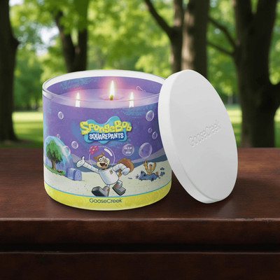 New Soy Base Goose Creek 3-Wick Candle Sandy Cheeks SpongeBob Candle