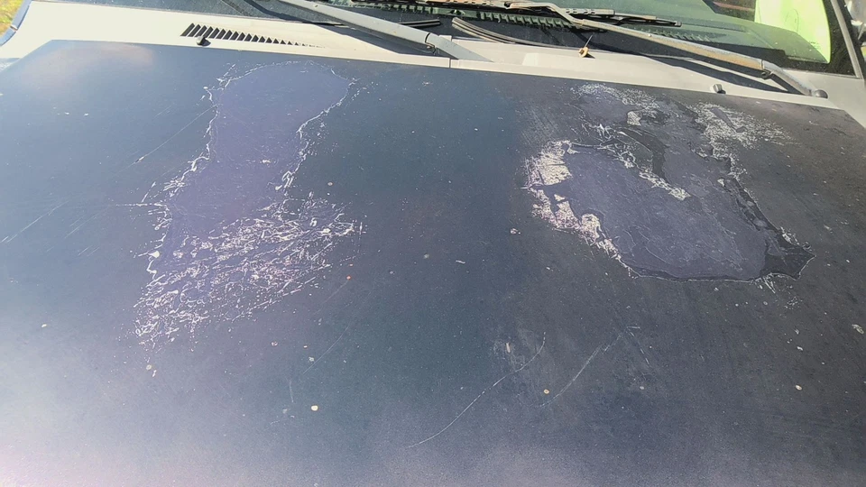 08 NISSAN ARMADA Hood (No Shipping) Foto 3 de 4