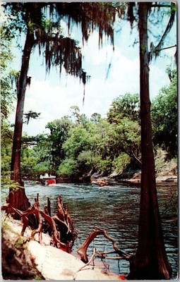 Dexter Press Postcard Way Down Upon The Suwannee River Unused Vintage FL Scenic