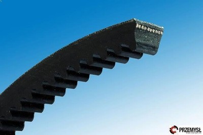 V-Belt Contitech XPA1357P