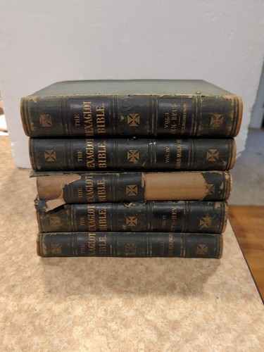 The Hexaglot Bible, 5 Of 6 Volumes, 1874, Old And New Testament, Original Tongue