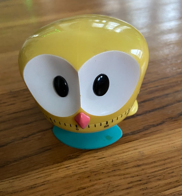 Kikkerland 1- Hour Kitchen Timer Yellow OWLET. Works | eBay