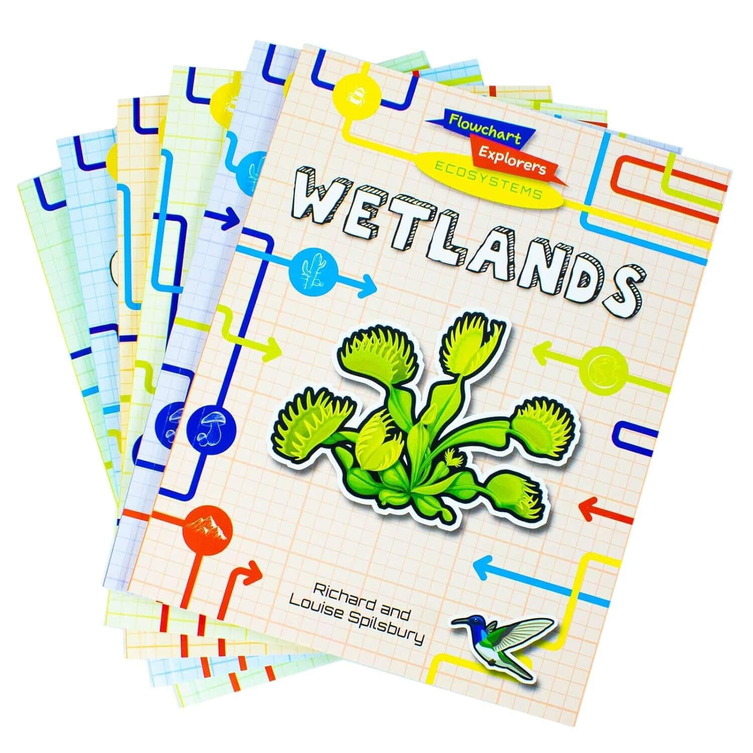 Flowchart Explorers Ecosystems STEM 6 Geography S | Richard and Louise Spilsbury - Image 8