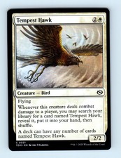 #31 2025 Tarkir: Dragonstorm * Tempest Hawk Common