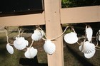 Bild 3 von 11