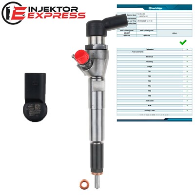 H8200704191 Injektor Einspritzdüse Renault Nissan Dacia 1.5 dCi A2C59513484