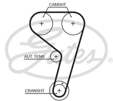 Courroie de distribution Ford TRANSIT CONNECT