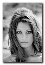 Sophia Loren Poster 24x36 Inch Photo Rare Print Wall Art Print - SL-4