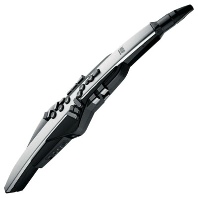 Roland AE-30 Aerophone Pro Digital Wind Instrument with Dedicated hand carry bag