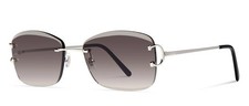 CT0010RS Cartier platinum Signature C Sunglasses
