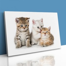 Three Kittens Cats Cute Canvas Framed Print Picture Wall Art