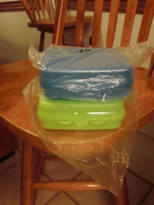 Tupperware Lot of 2 Hinged Sandwich Keepers- Blue/Lime-NIP